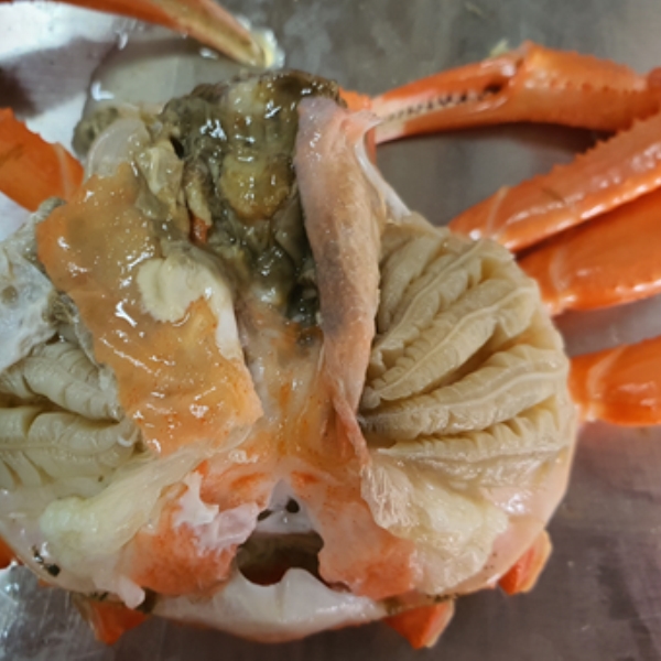 KakaoTalk_20250916_104545180.png